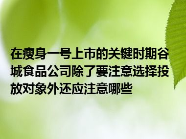 在瘦身一号上市的关键时期谷城食品公司除了要注意选择投放对象外还应注意哪些