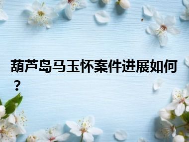 葫芦岛马玉怀案件进展如何？