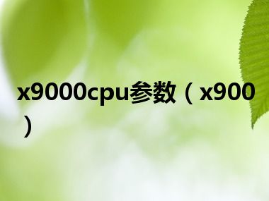 x9000cpu参数（x900）