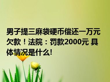 男子提三麻袋硬币偿还一万元欠款！法院：罚款2000元 具体情况是什么!