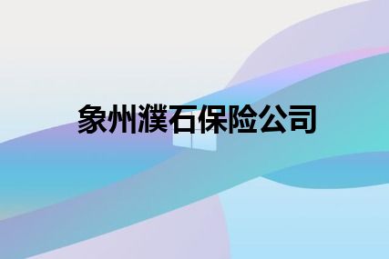 象州濮石保险公司