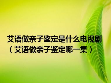 艾语做亲子鉴定是什么电视剧（艾语做亲子鉴定哪一集）