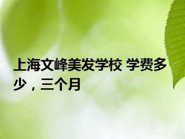 上海文峰美发学校 学费多少，三个月