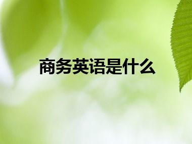 商务英语是什么