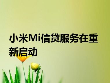 小米Mi信贷服务在重新启动