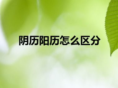 阴历阳历怎么区分