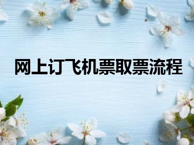 网上订飞机票取票流程