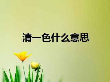 清一色什么意思