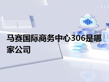 马赛国际商务中心306是哪家公司