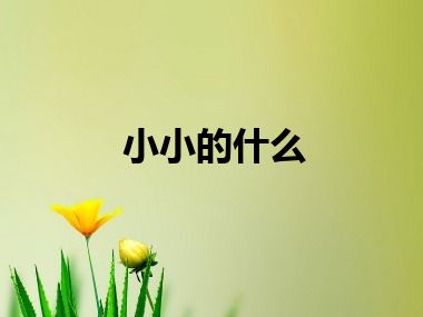 小小的什么