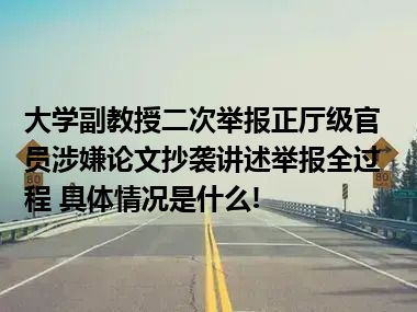 大学副教授二次举报正厅级官员涉嫌论文抄袭讲述举报全过程 具体情况是什么!