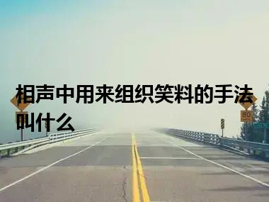 相声中用来组织笑料的手法叫什么