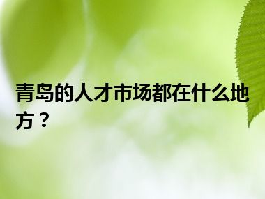 青岛的人才市场都在什么地方？