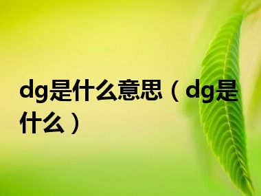 dg是什么意思（dg是什么）