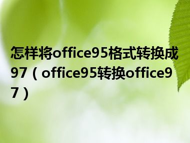 怎样将office95格式转换成97（office95转换office97）