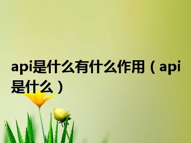 api是什么有什么作用（api是什么）