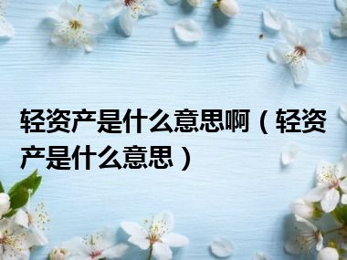 轻资产是什么意思啊（轻资产是什么意思）