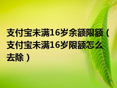 支付宝未满16岁余额限额（支付宝未满16岁限额怎么去除）