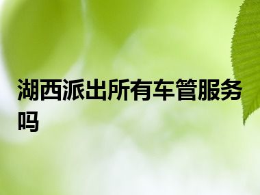 湖西派出所有车管服务吗