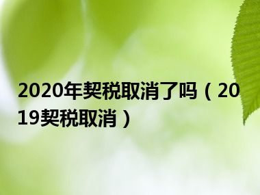 2020年契税取消了吗（2019契税取消）