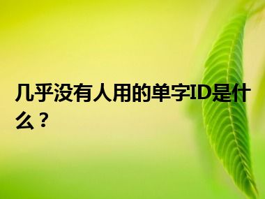 几乎没有人用的单字ID是什么？