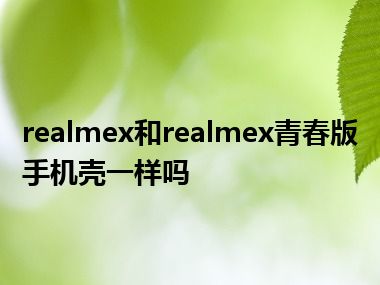 realmex和realmex青春版手机壳一样吗