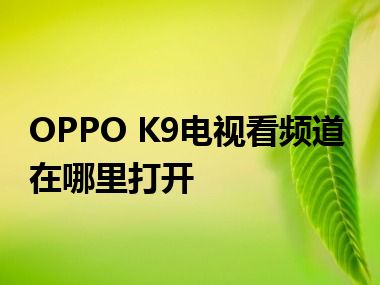 OPPO K9电视看频道在哪里打开