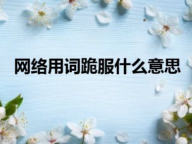 网络用词跪服什么意思