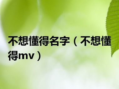 不想懂得名字（不想懂得mv）