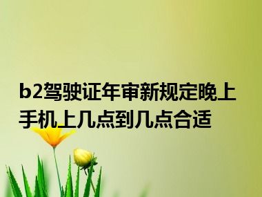 b2驾驶证年审新规定晚上手机上几点到几点合适