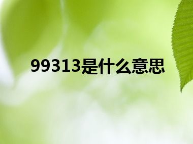 99313是什么意思