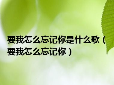 要我怎么忘记你是什么歌（要我怎么忘记你）