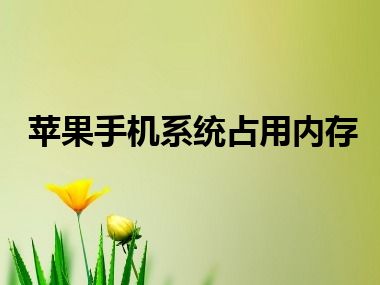 苹果手机系统占用内存