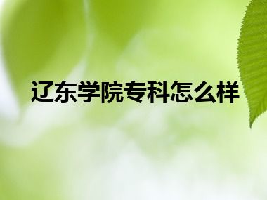 辽东学院专科怎么样