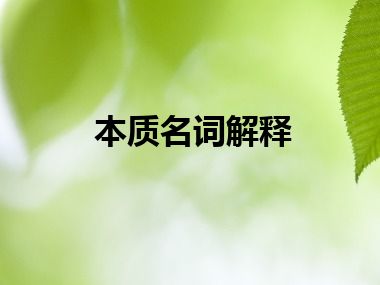 本质名词解释