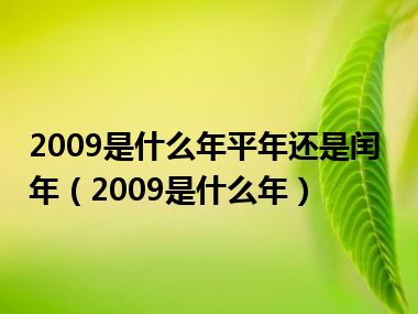 2009是什么年平年还是闰年（2009是什么年）