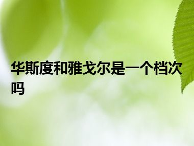 华斯度和雅戈尔是一个档次吗