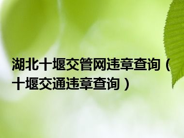 湖北十堰交管网违章查询（十堰交通违章查询）