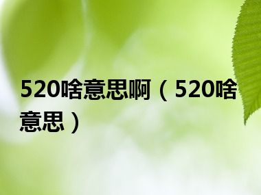 520啥意思啊（520啥意思）