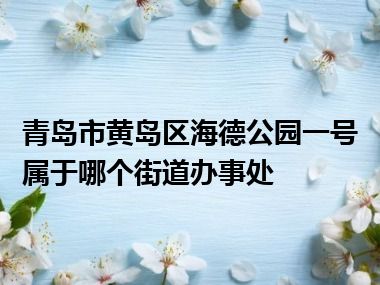 青岛市黄岛区海德公园一号属于哪个街道办事处