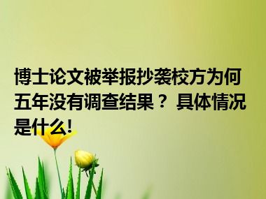 博士论文被举报抄袭校方为何五年没有调查结果？ 具体情况是什么!