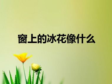 窗上的冰花像什么