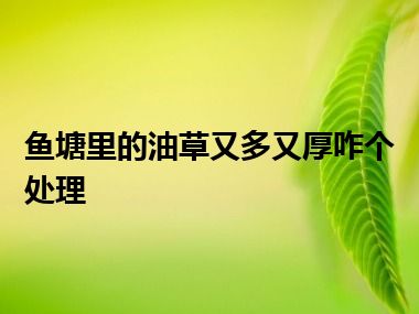 鱼塘里的油草又多又厚咋个处理