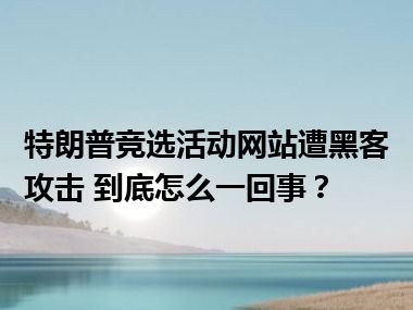 特朗普竞选活动网站遭黑客攻击 到底怎么一回事？