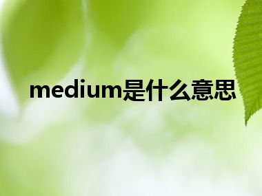 medium是什么意思