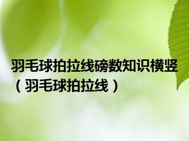 羽毛球拍拉线磅数知识横竖（羽毛球拍拉线）