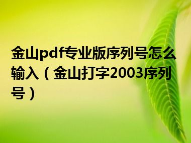 金山pdf专业版序列号怎么输入（金山打字2003序列号）