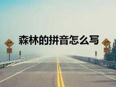 森林的拼音怎么写