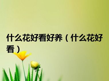 什么花好看好养（什么花好看）