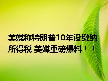 美媒称特朗普10年没缴纳所得税 美媒重磅爆料！！